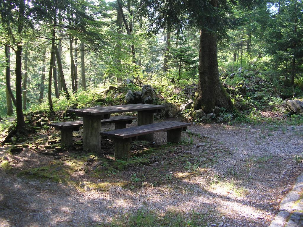 Camping Pivka Jama Постойна Екстериор снимка